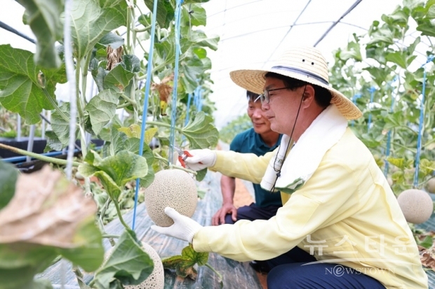 고창군청 제공