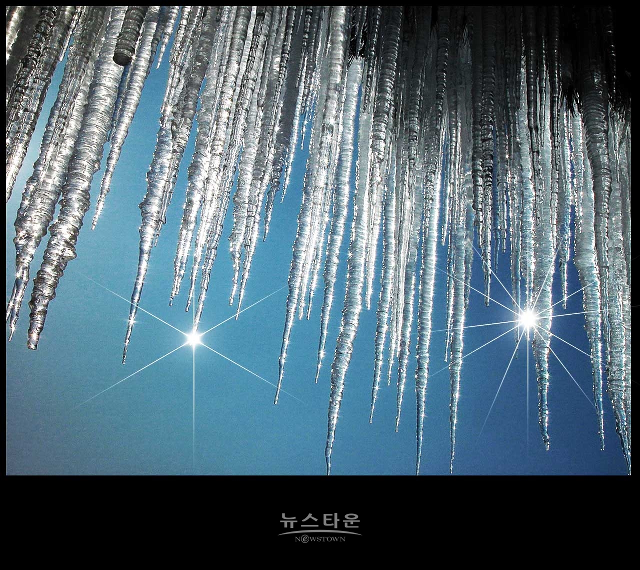 아쉬운인제빙어축제 : 2003년 빙어축제 자료사진