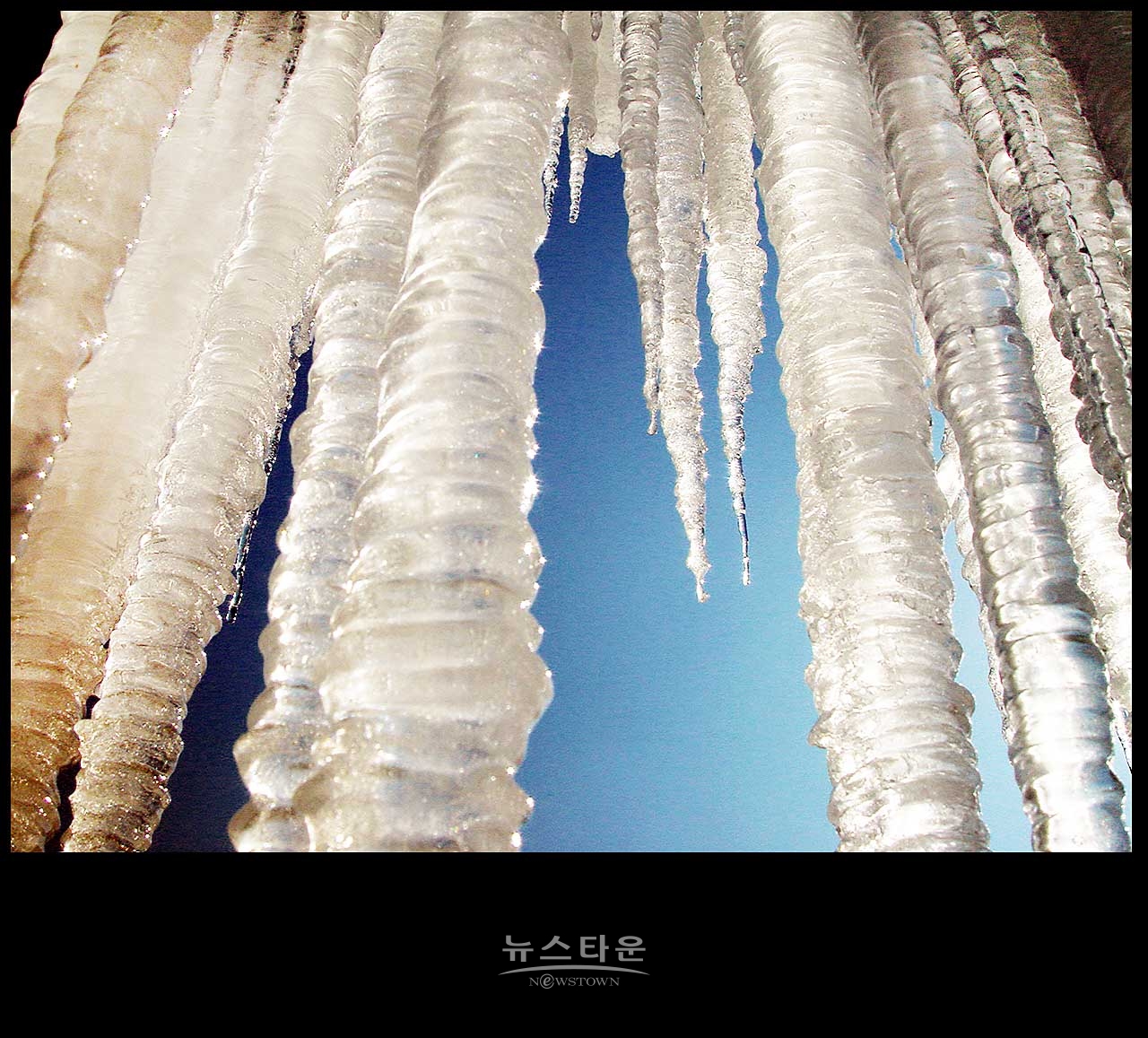 아쉬운인제빙어축제 : 2003년 빙어축제 자료사진