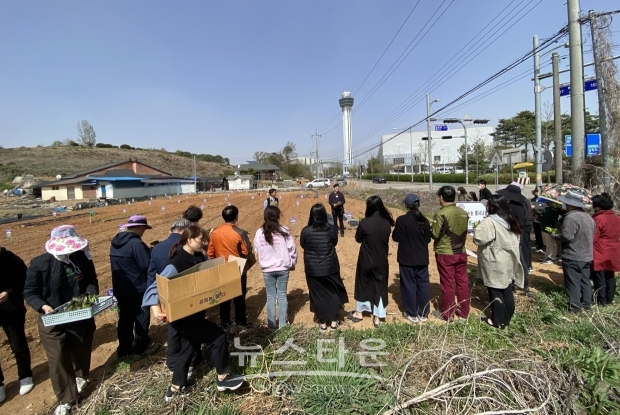 시민 참여형 주말농장