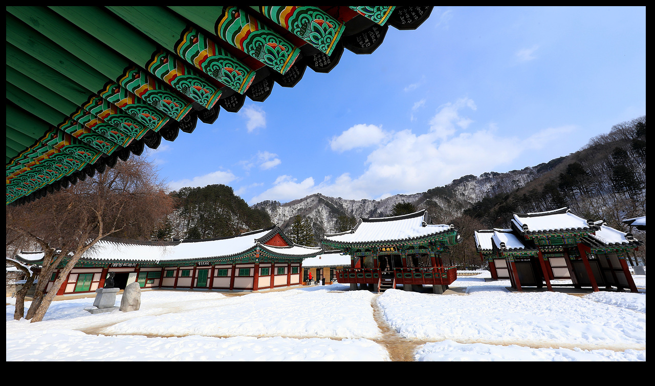 사진제공 : 인제군청