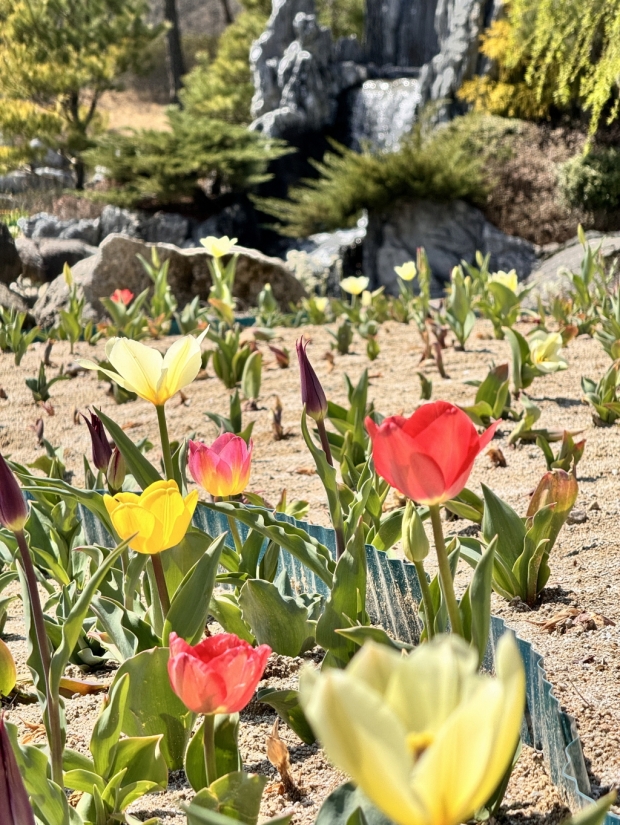 경주 화랑마을 내 마련된 휴식공간