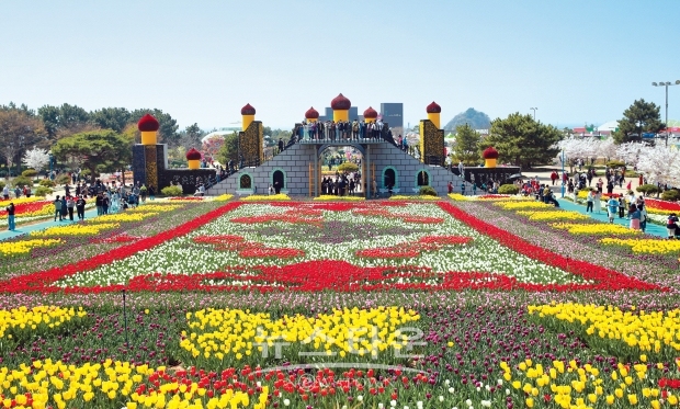 안면도 태안 튤립축제