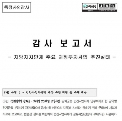 감사원 '지자체 주요 재정투자사업 추진실태 감사보고서' 적발사항 캡쳐 이미지