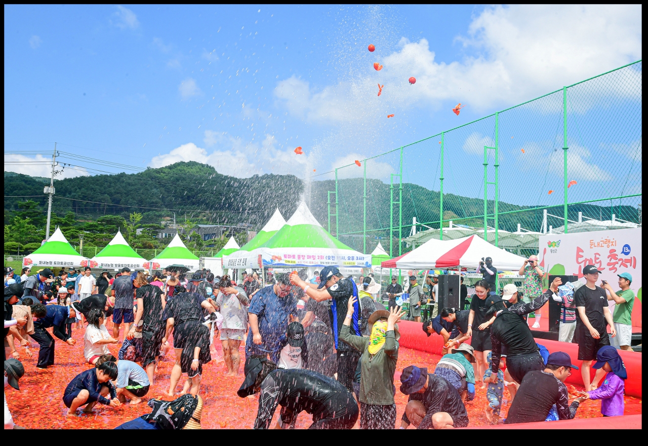 횡성 둔내 고랭지 토마토축제 사진 (횡성군청 제공)