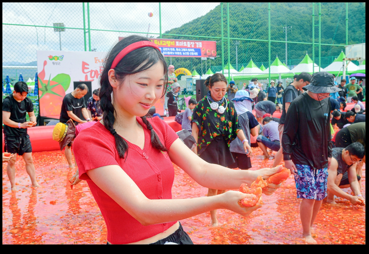 횡성 둔내 고랭지 토마토축제 사진 (횡성군청 제공)