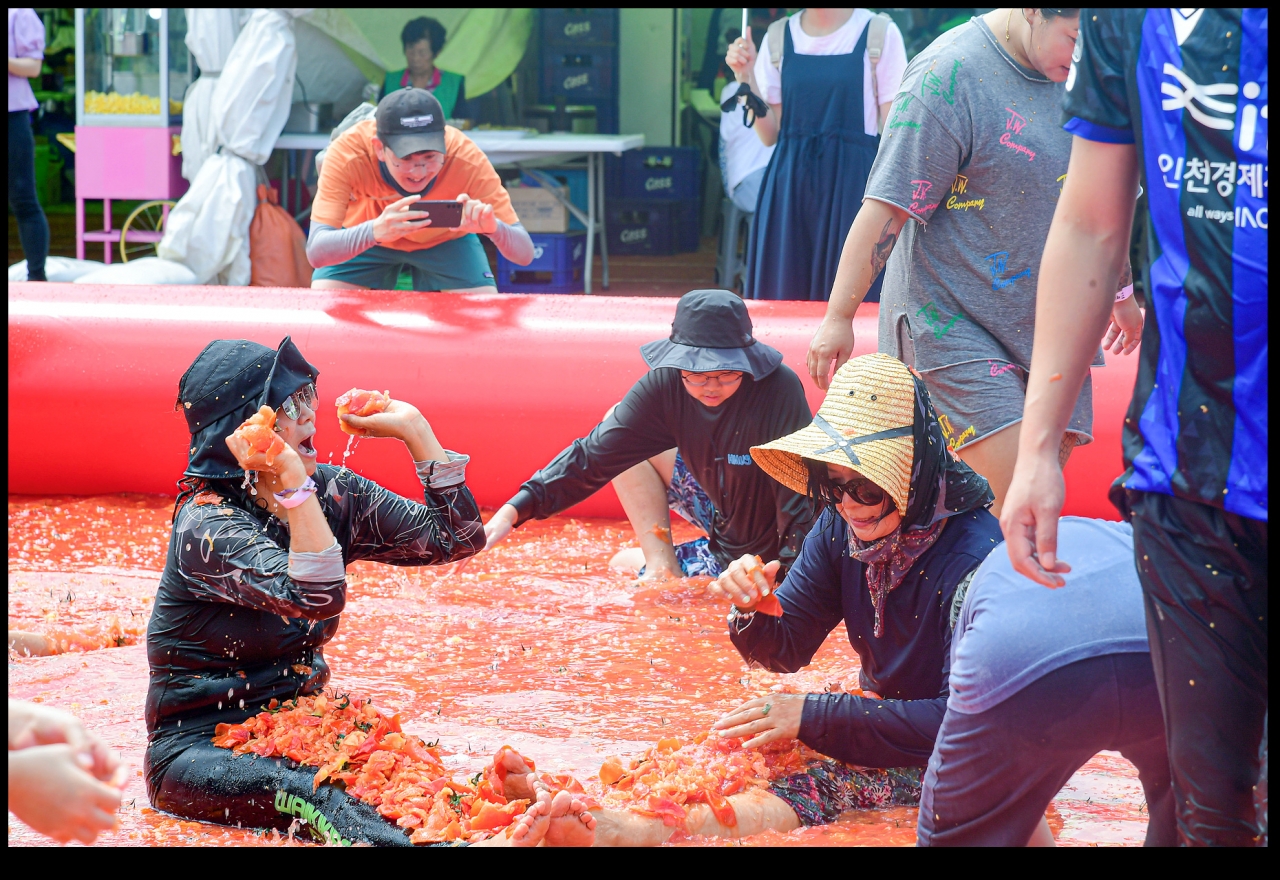 횡성 둔내 고랭지 토마토축제 사진 (횡성군청 제공)