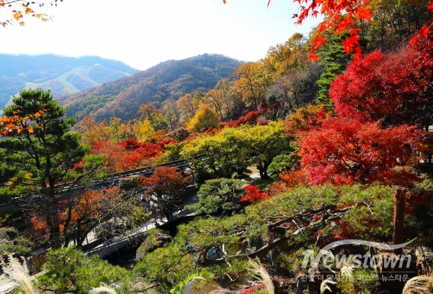 화담숲의 단풍
