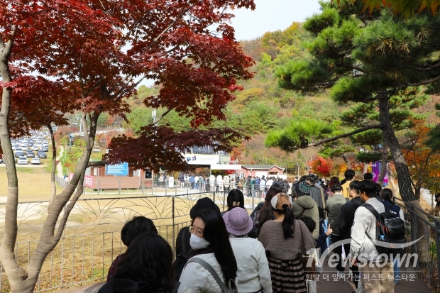 아침부터 화담숲 입장을 위해 리프트 줄을 서고 있는 관람객들