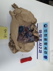 양초 속 은닉 상태