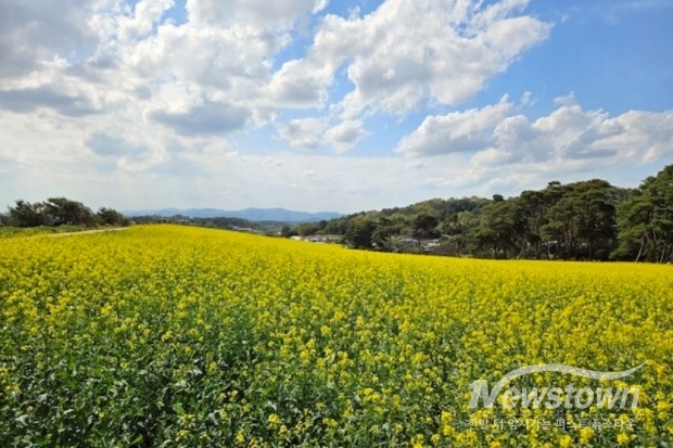 /사진=정읍시청 제공