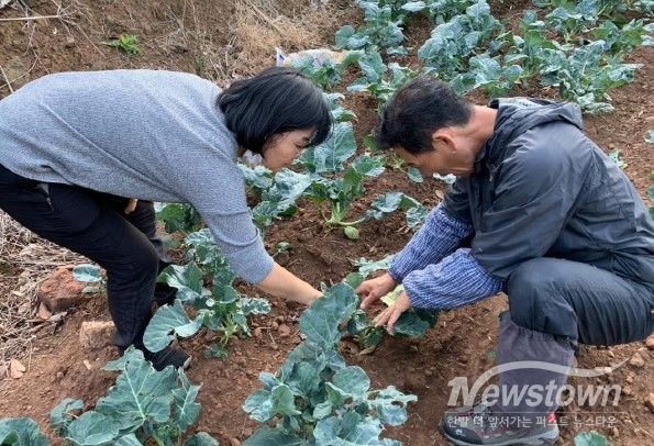 / 사진=제주도청 제공