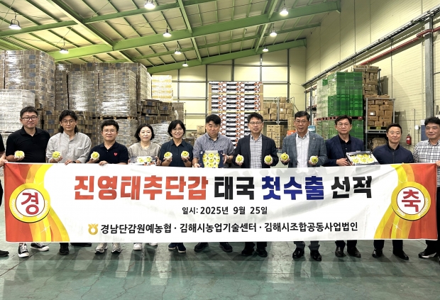 김해시, ‘진영 태추단감’ 첫 해외 수출