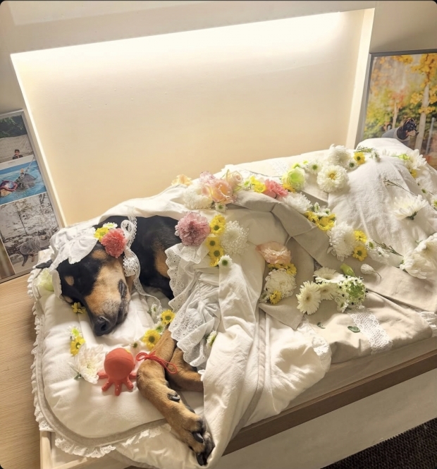 배정남SNS