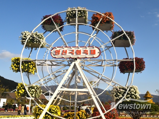 2025 양산 국화축제