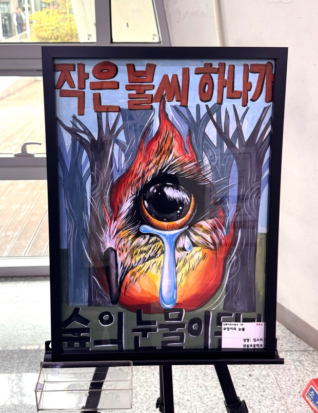 김해관동초등학교 임소리-부엉이의눈물/사진 경남도