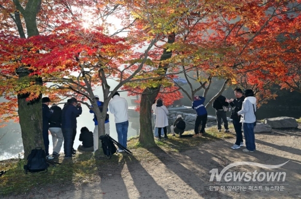 내장산 단풍 절경 Autumn leaves of Naejangsan Mountain are superb / 사진=정읍시청 제공