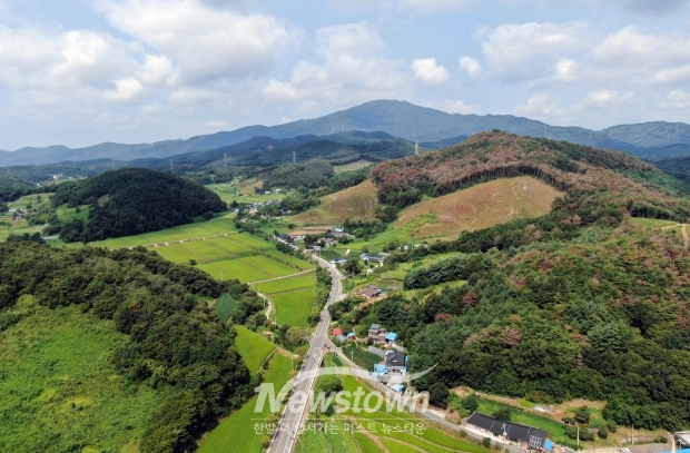 소나무재선충병