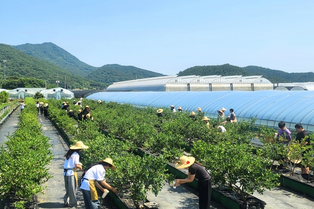청년여성농업인 농작업 모습/사진 경남도제공