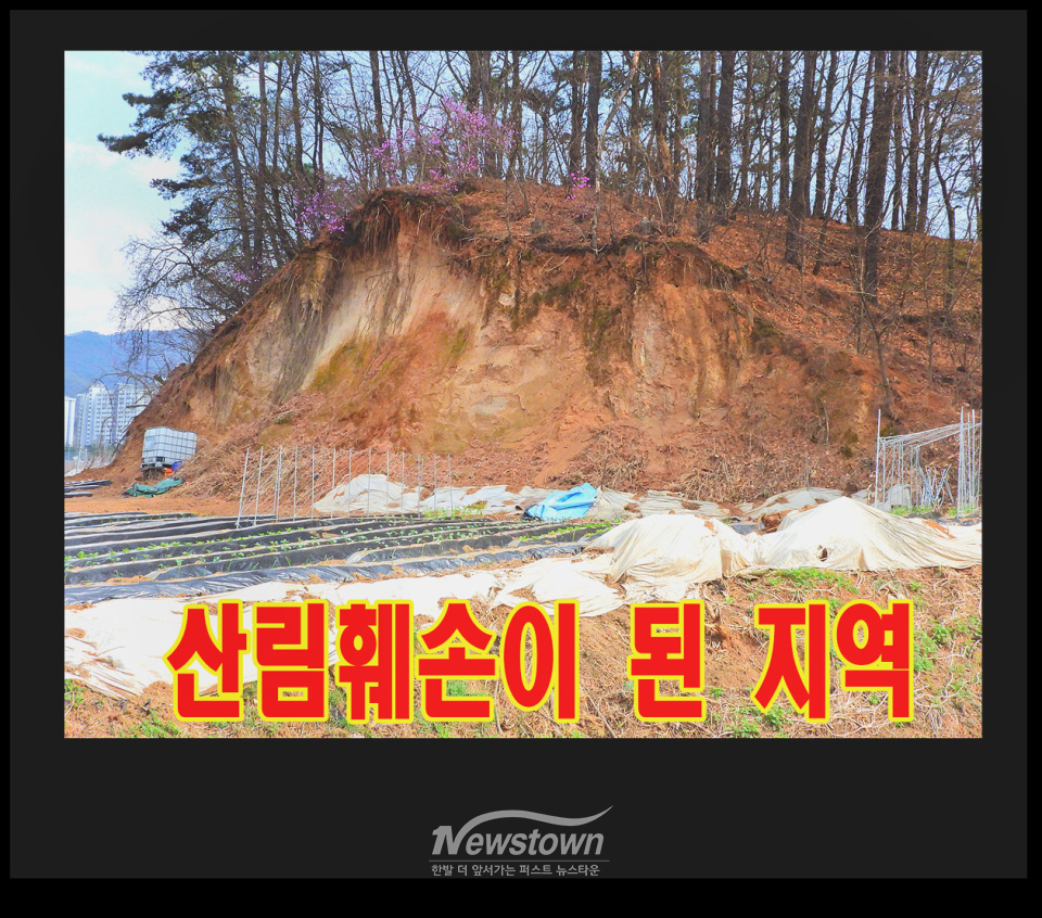 문막읍 건등리 414번지 불법산림훼손 현장