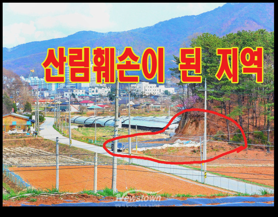 문막읍 건등리 414번지 불법산림훼손 현장