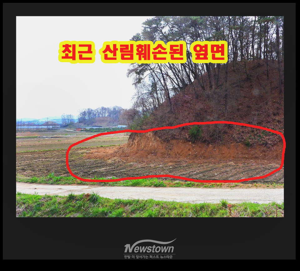 문막읍 건등리 414번지 불법산림훼손 현장