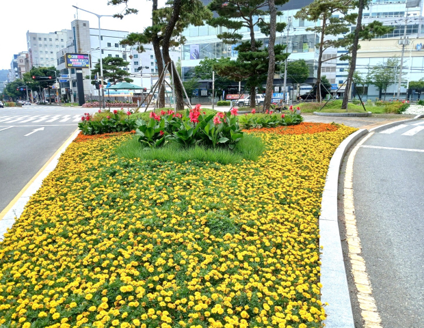 내외동 여름꽃 화단 모습/사진 김해시 제공