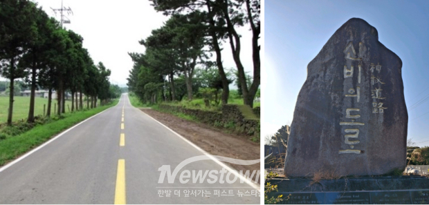 제주 신비의 도로(일명 도깨비 도로) (사진 / 네이버 지도)