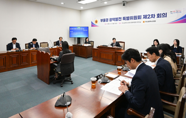 부산시의회 '부울경 광역발전 특별위원회'(사진/부산시의회)