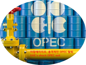 UAE의 충격적인 OPEC 탈퇴, 석유 카르텔의 미래는 ?