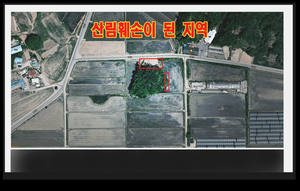 원주시 문막읍 산림훼손, 공무원은 눈 감았나