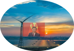 중국의 녹색 전환, OPEC의 조정 능력 약화