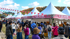 영주 사과축제 30일 개막...부석사 단풍과 함께하는 가을 축제 - 뉴스 썸네일 이미지