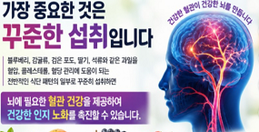전문가들이 추천하는 “두뇌 건강에 좋은 과일 5가지”